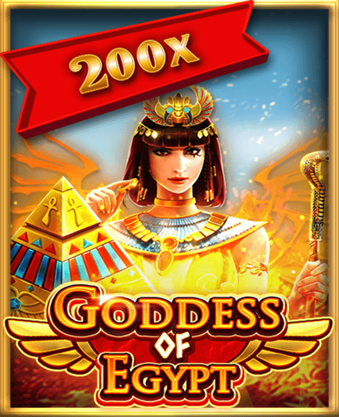 CrownBet Casino: Where Adventure and Big Wins Await